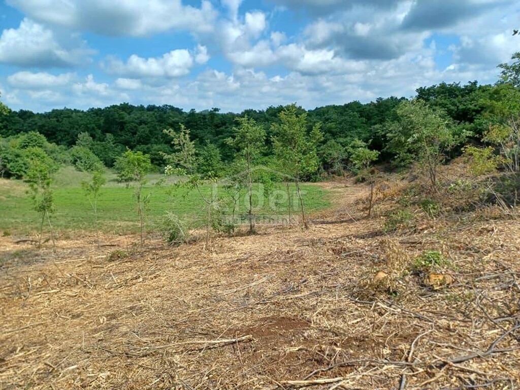 Image 9