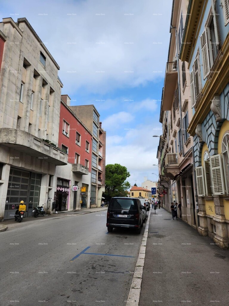 Image 12