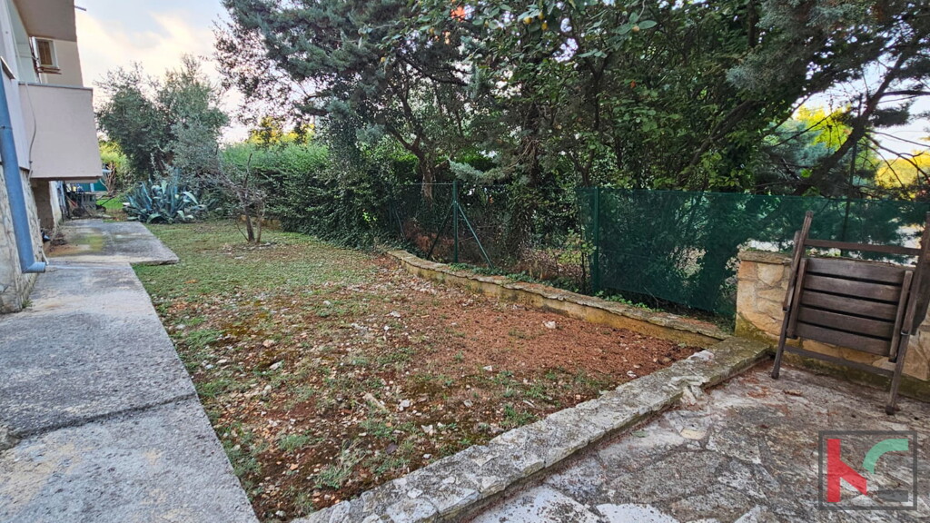 Image 15
