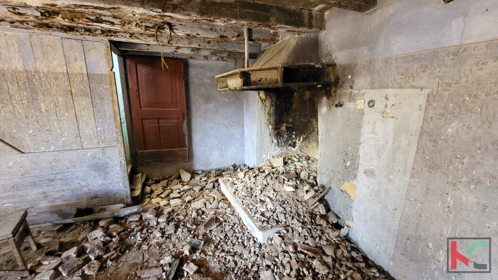 Image 15