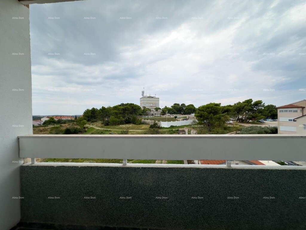 Image 17