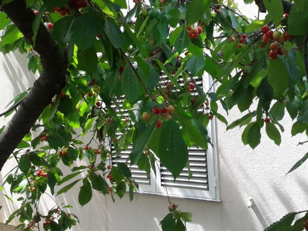 Image 3811680 - 6