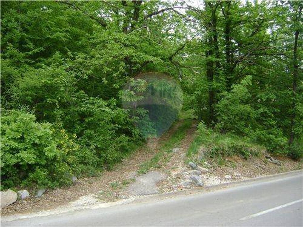 Image 5411404 - 2