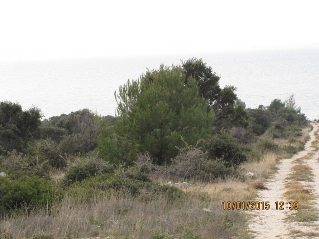 Image 4346592 - 4