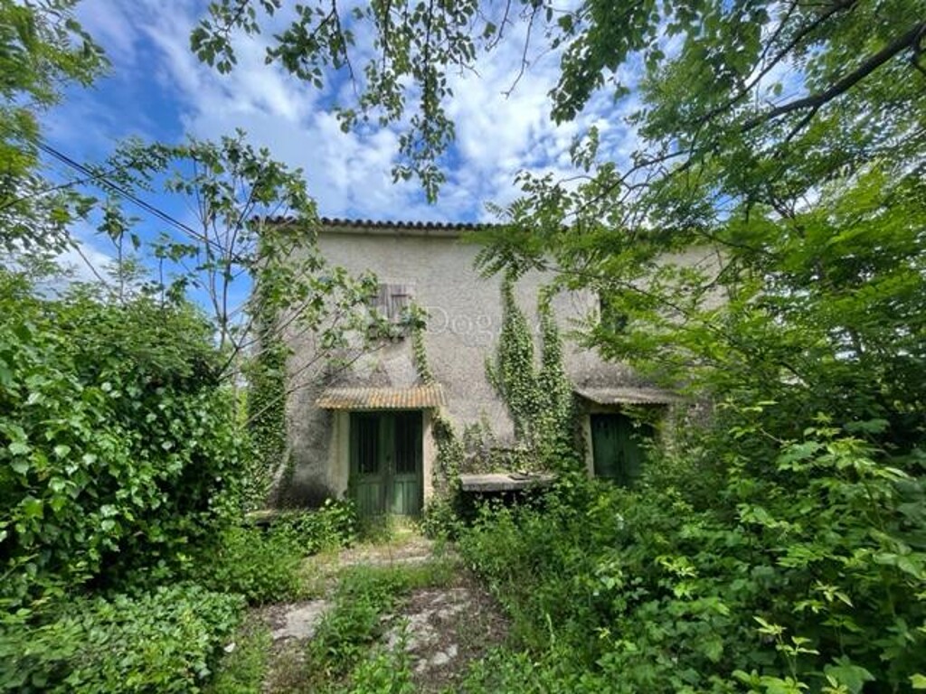 Image 6