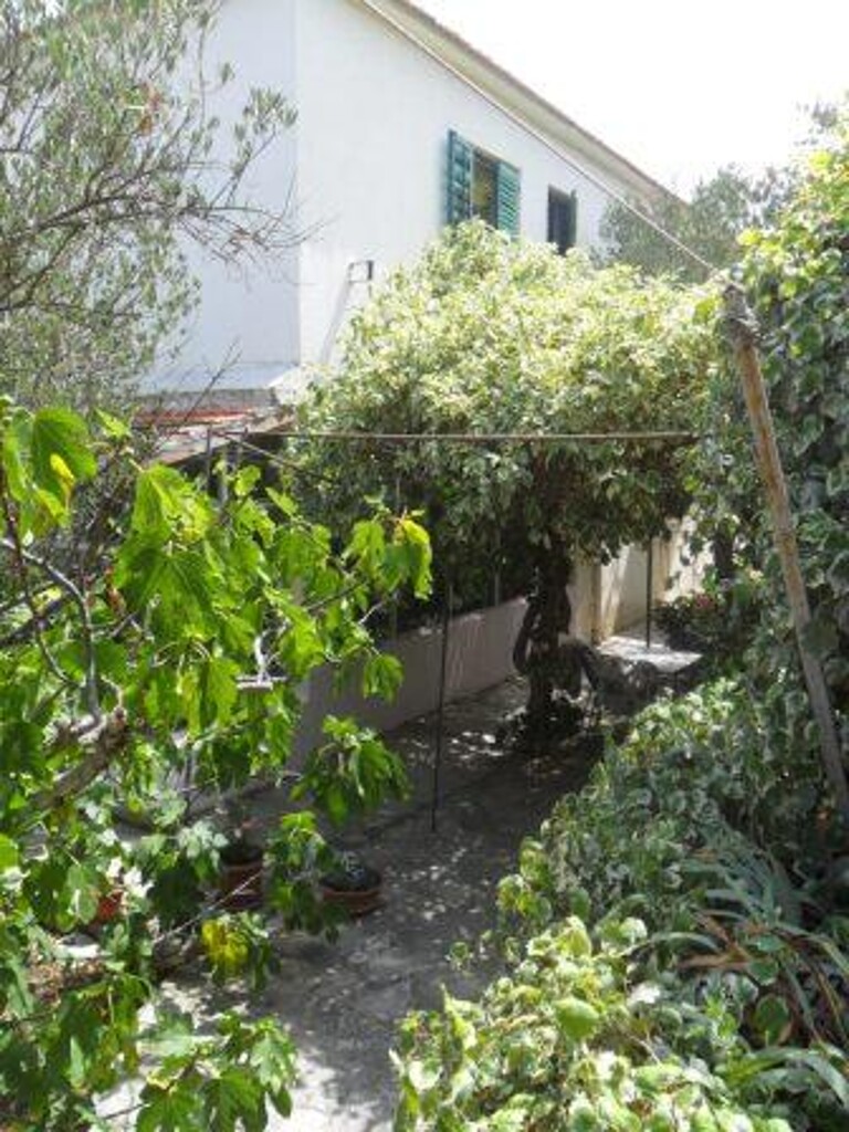 Image 3814524 - 3