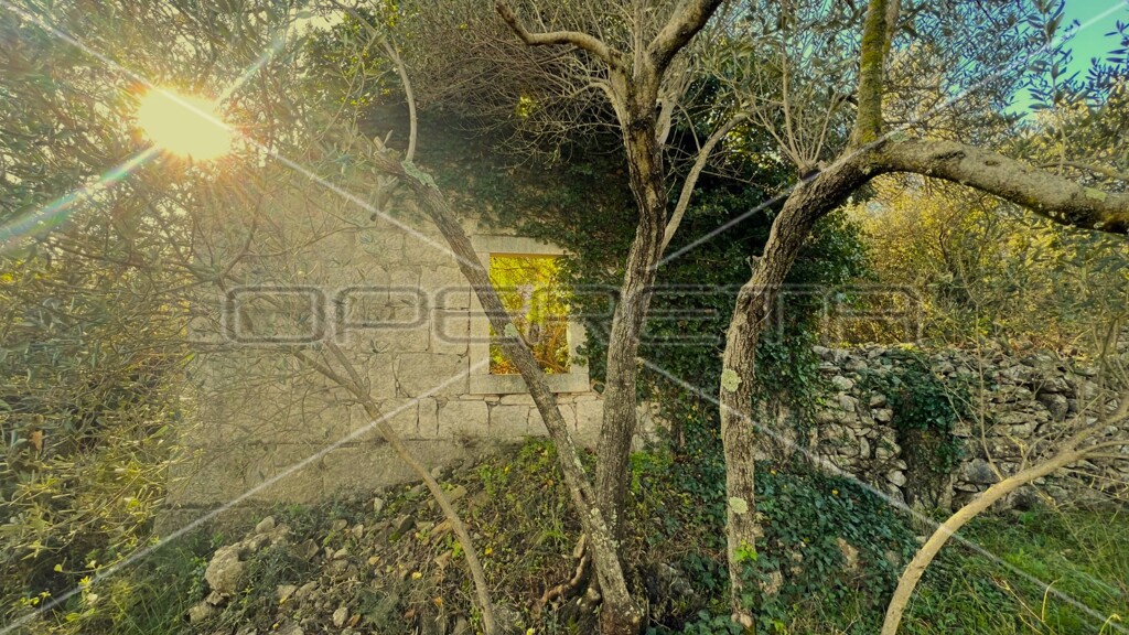 Image 6158224 - 14