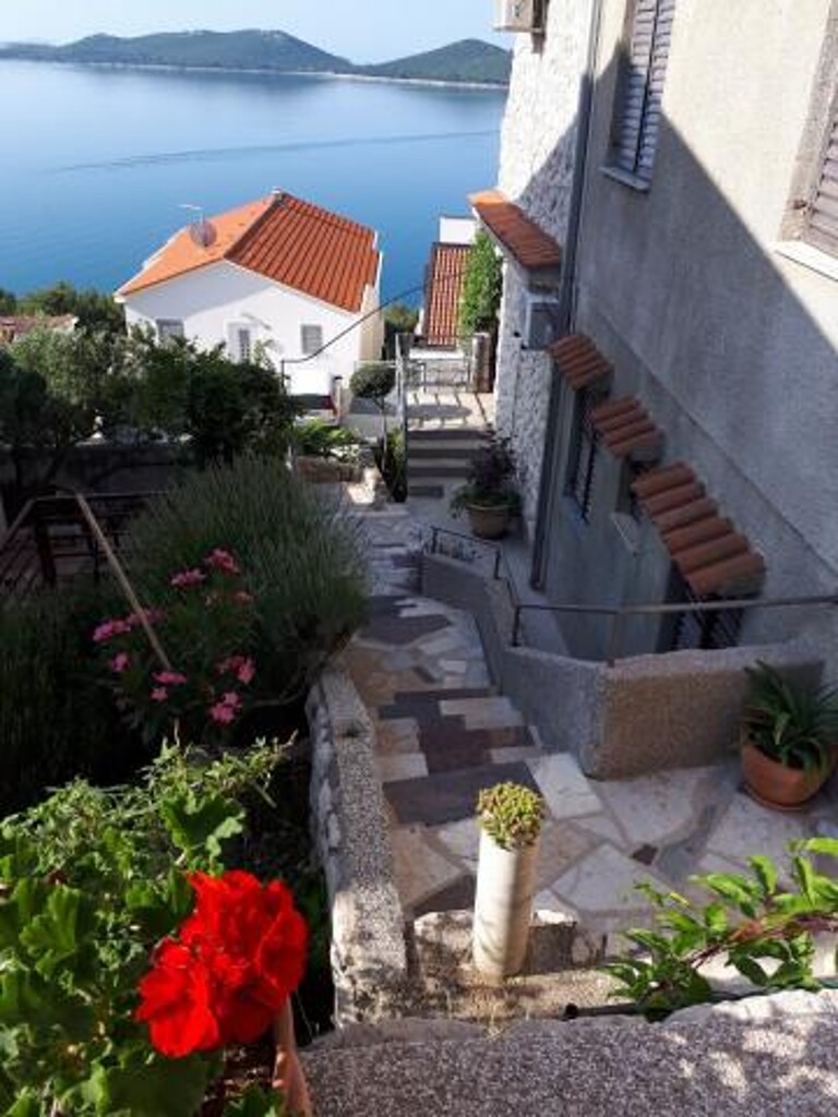 Image 3813218 - 5