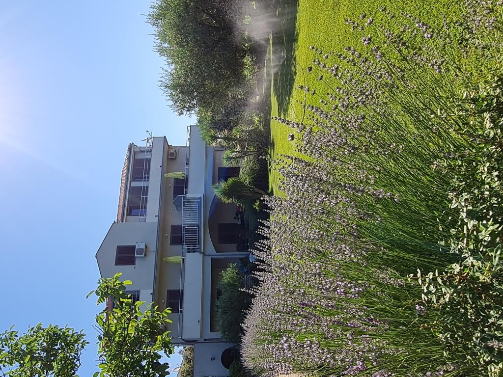 Image 19