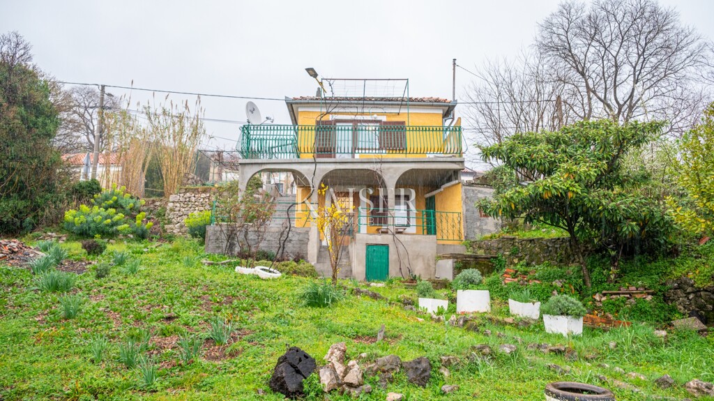 Image 15