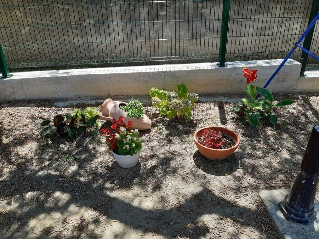 Image 12
