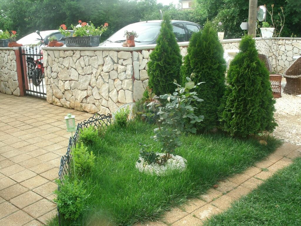 Image 13