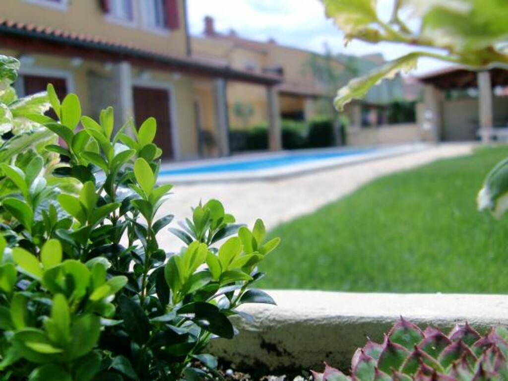 Image 3813073 - 8