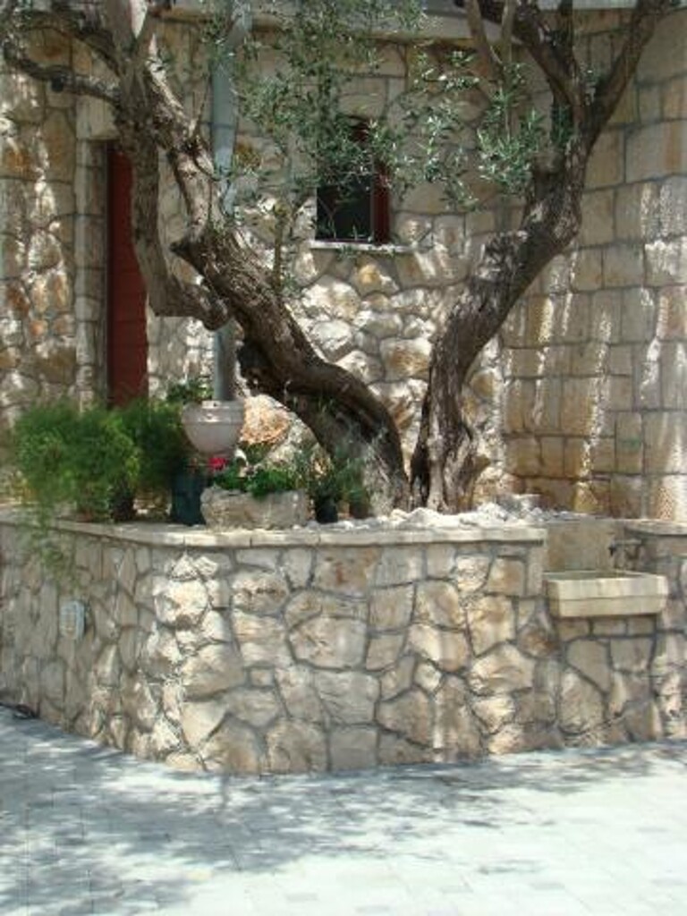 Image 3812517 - 26