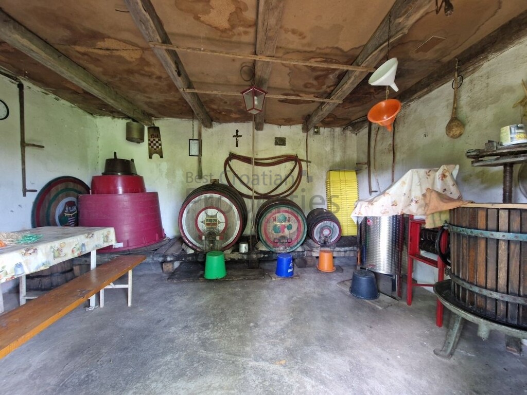 Image 15
