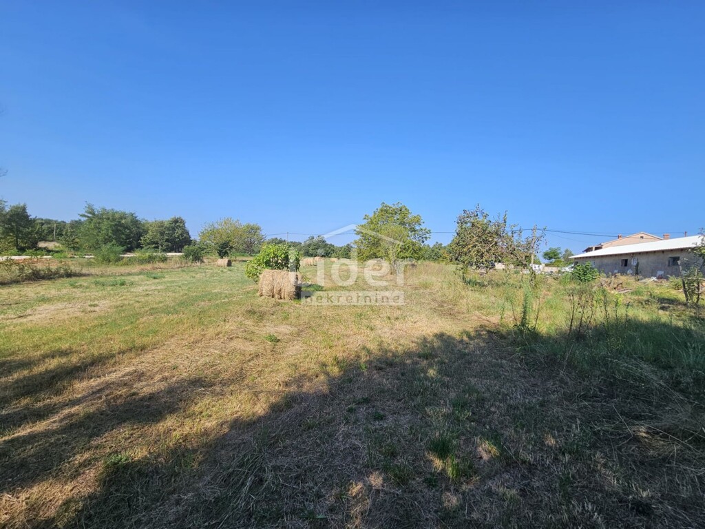 Image 14