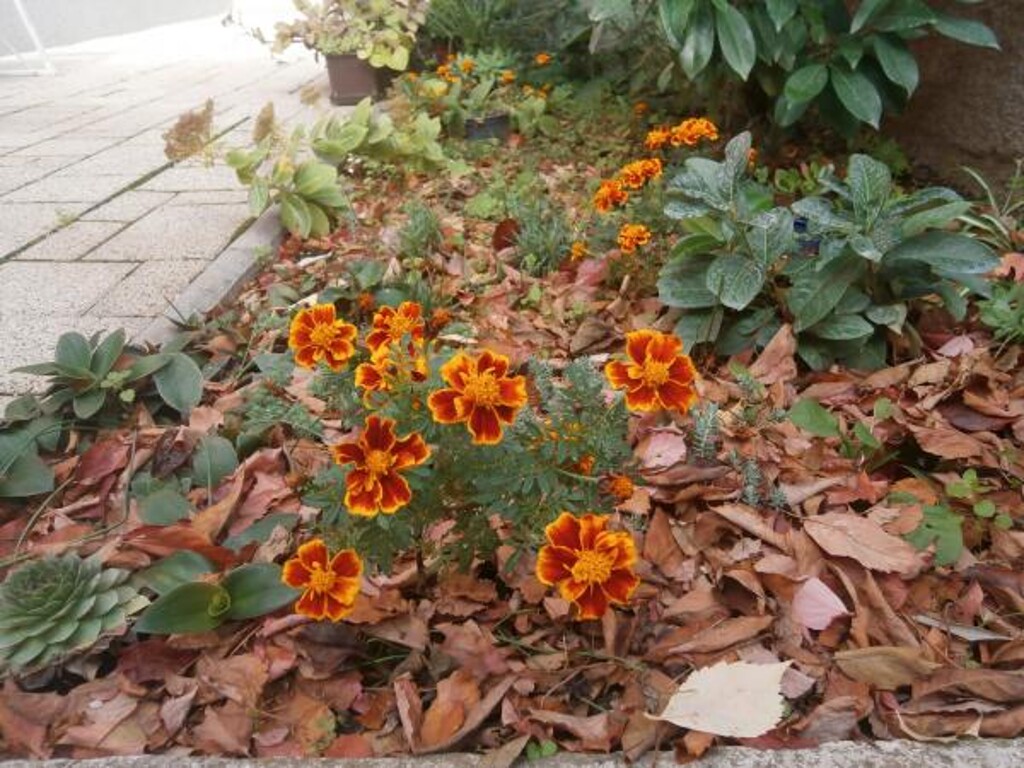 Image 3813420 - 6