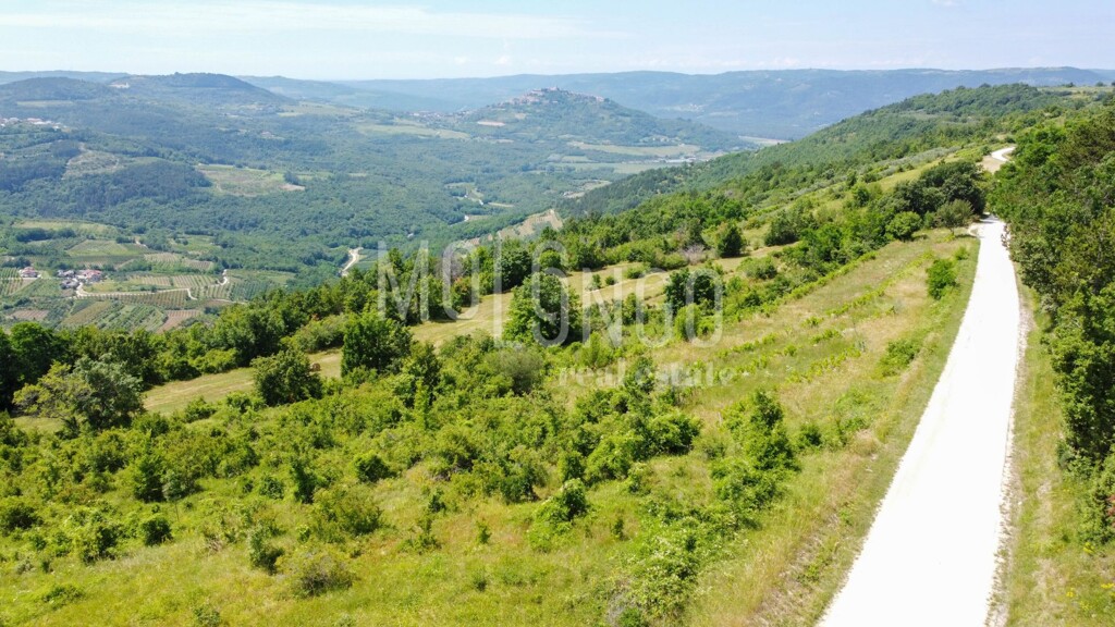 Image 6332021 - 2
