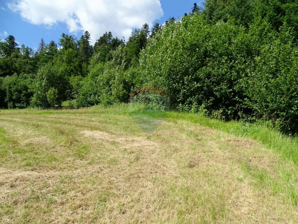 Image 5417609 - 6