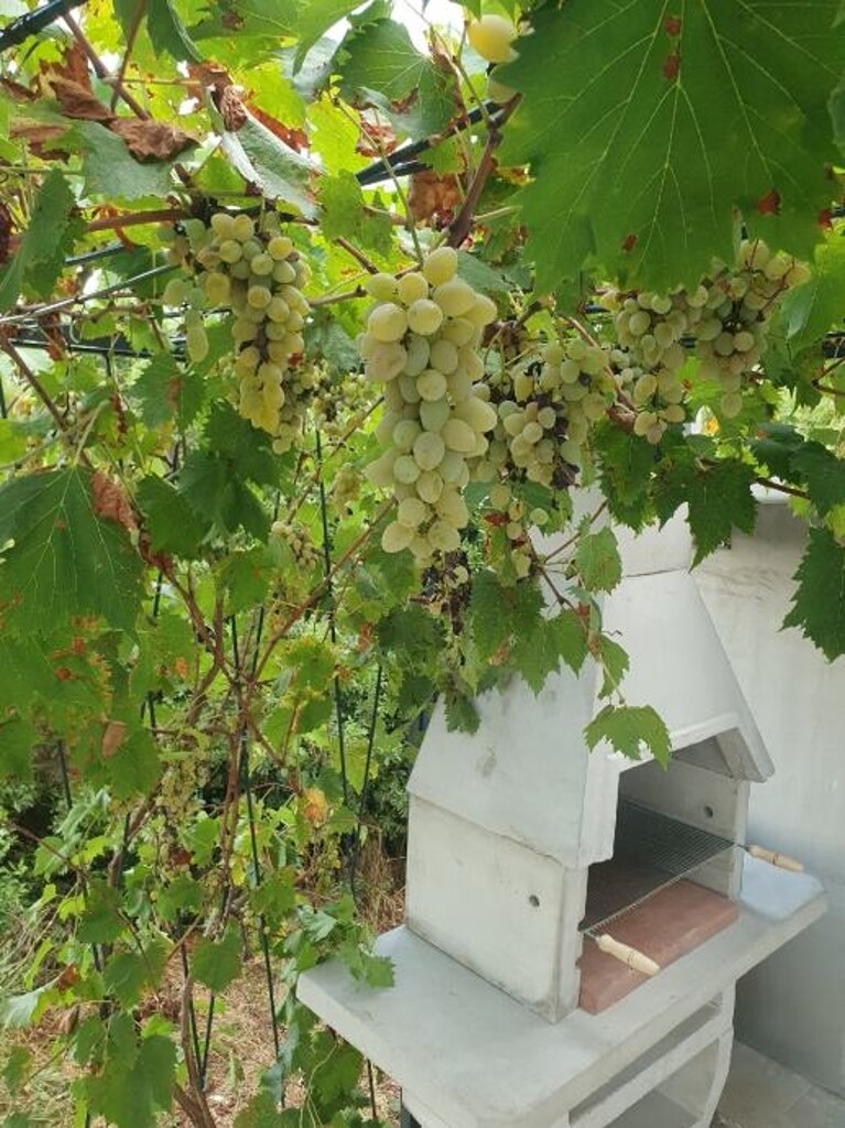 Image 14