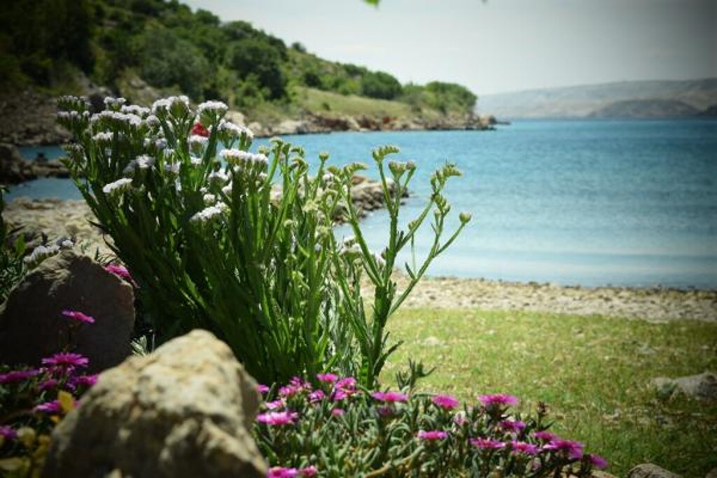 Image 3810922 - 6