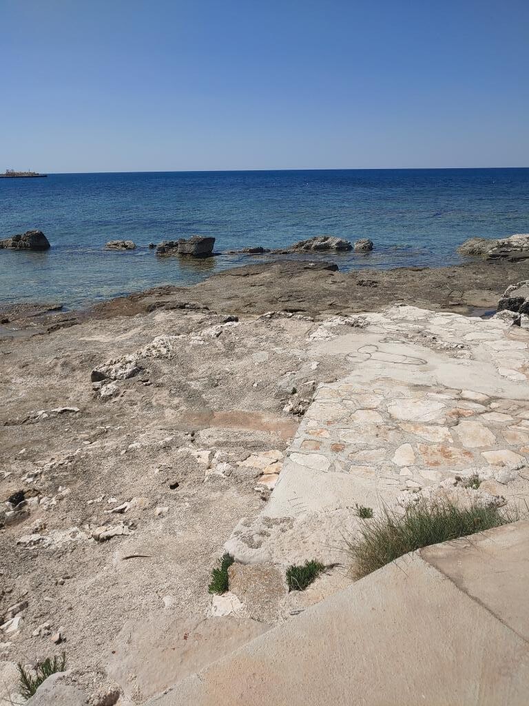 Image 31