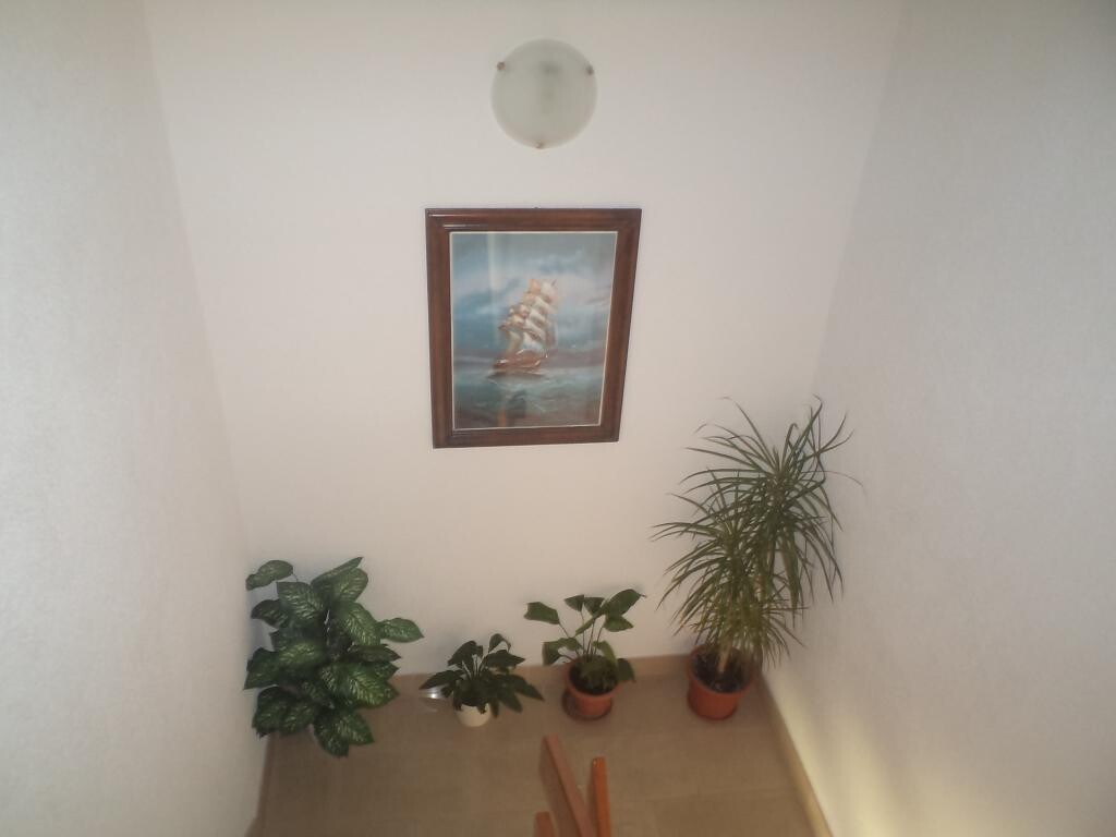 Image 3832225 - 7