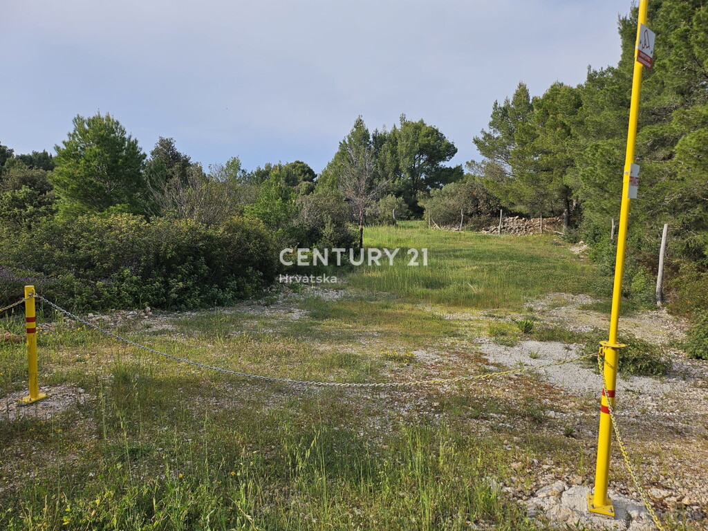 Image 15