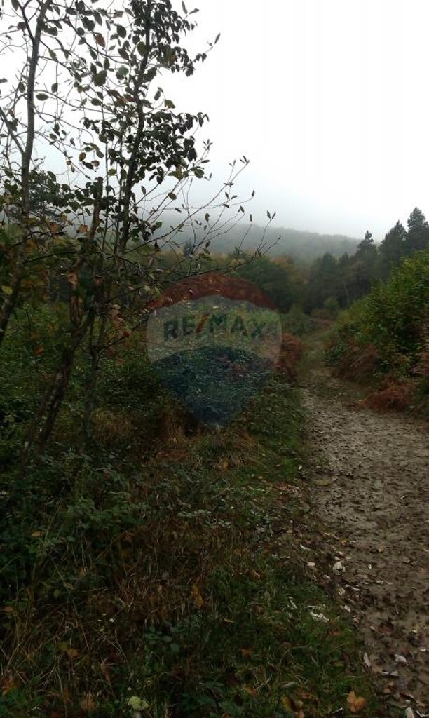 Image 5410802 - 7