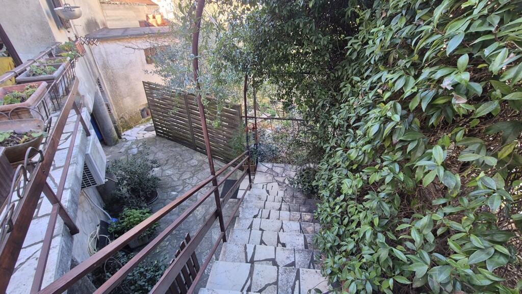 Image 14