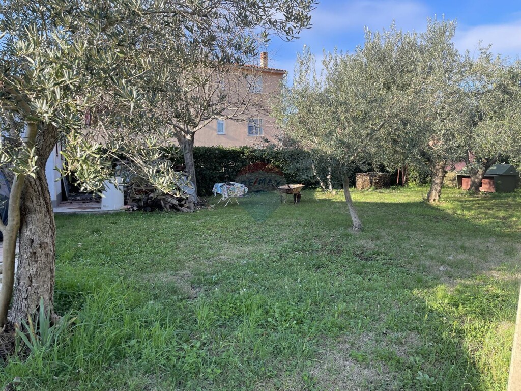 Image 22
