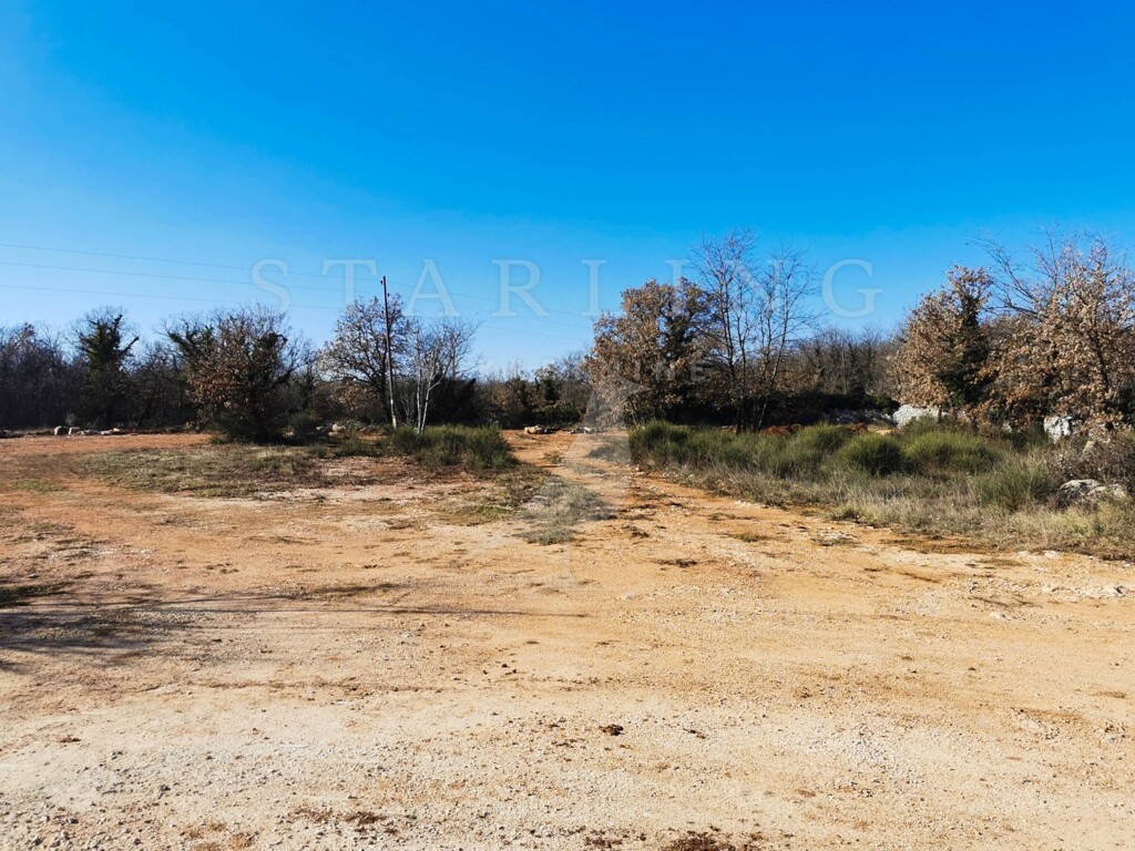 Image 9