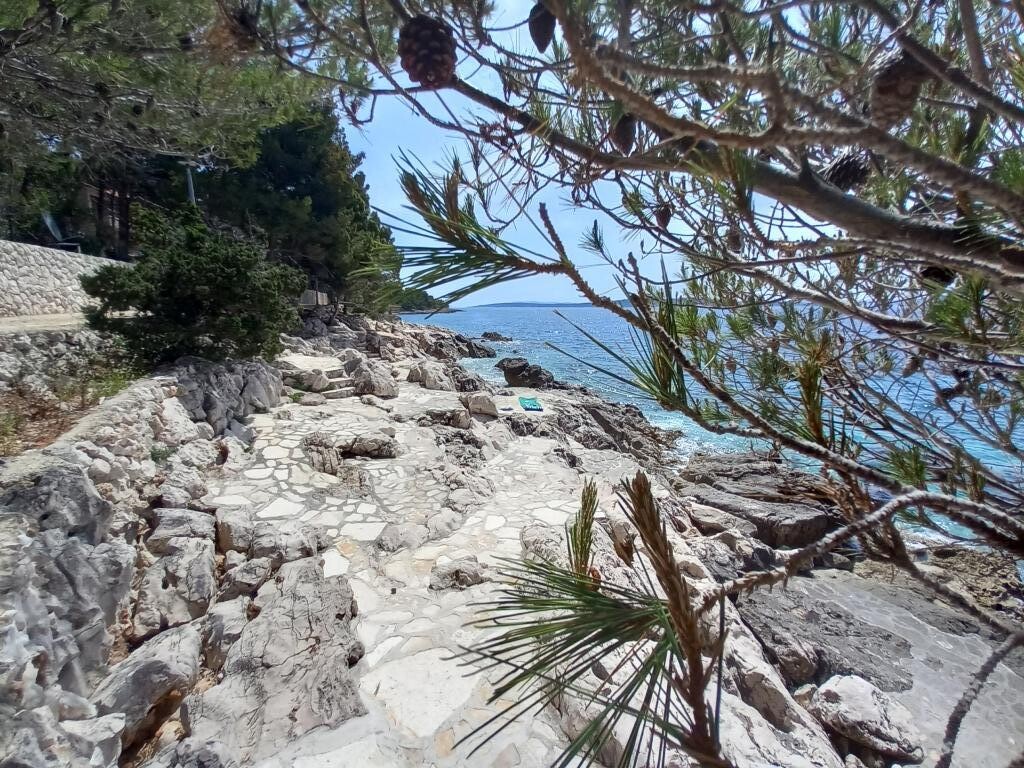 Image 3838494 - 5