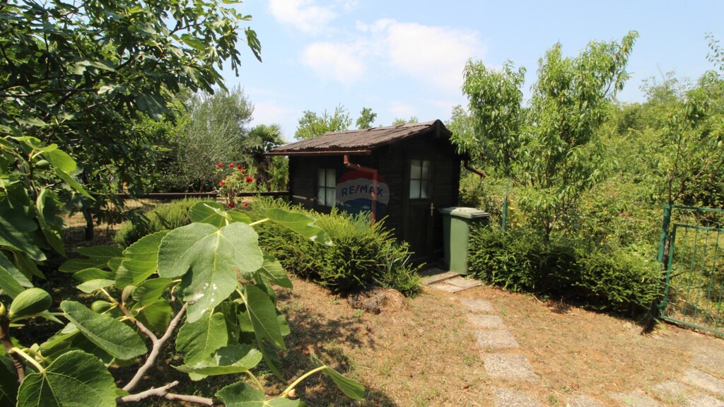 Image 21
