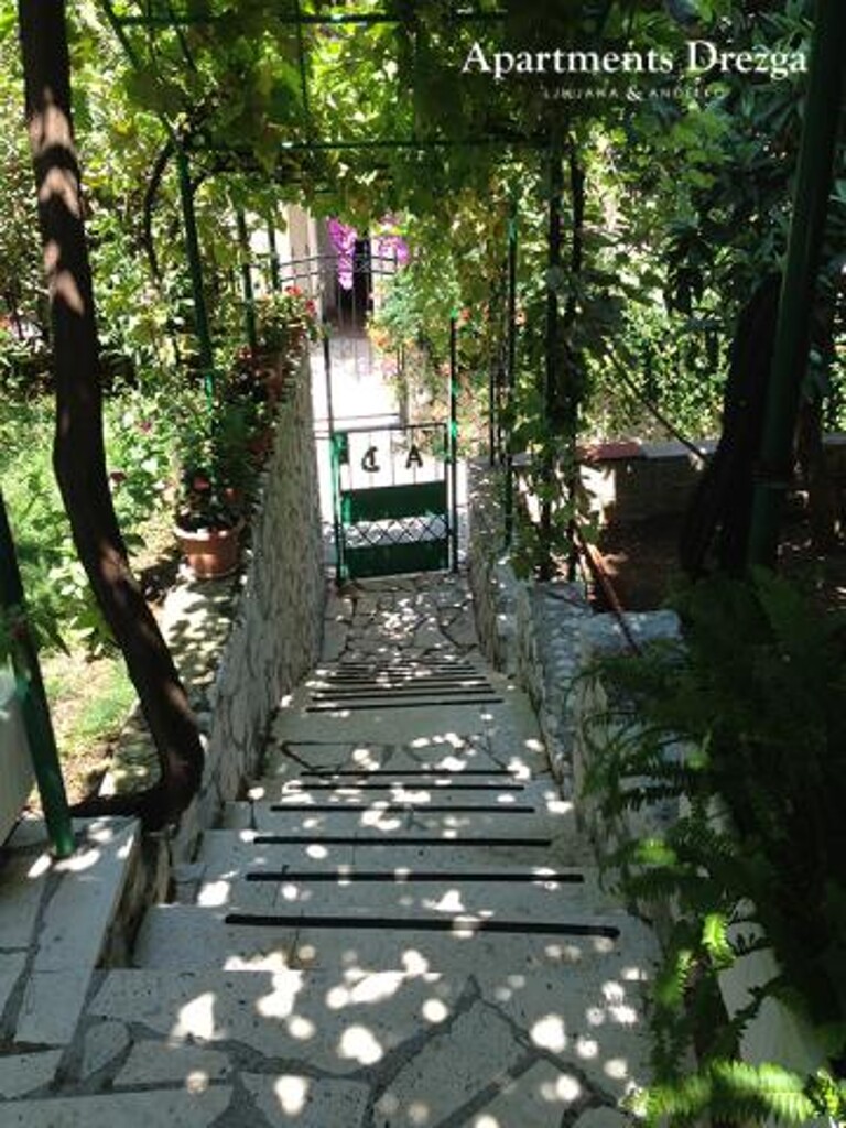 Image 3811608 - 3