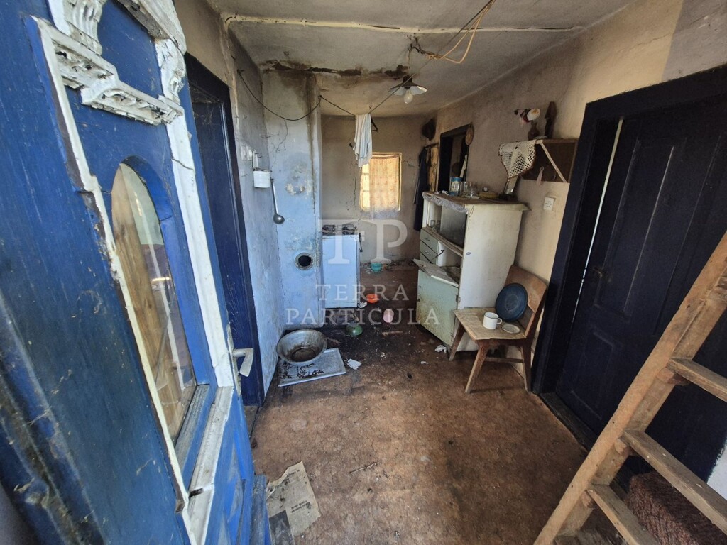 Image 21