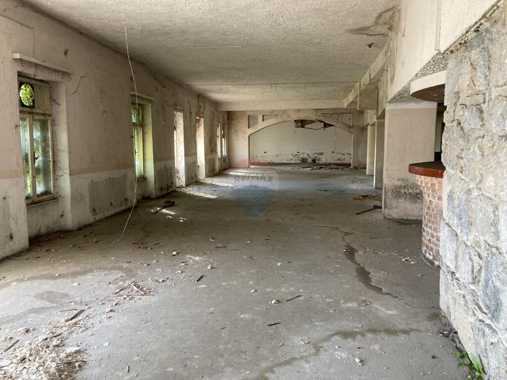 Image 13