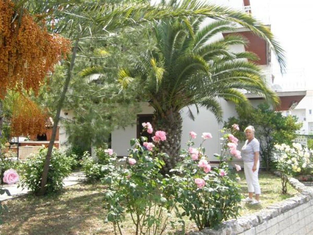 Image 3838881 - 2