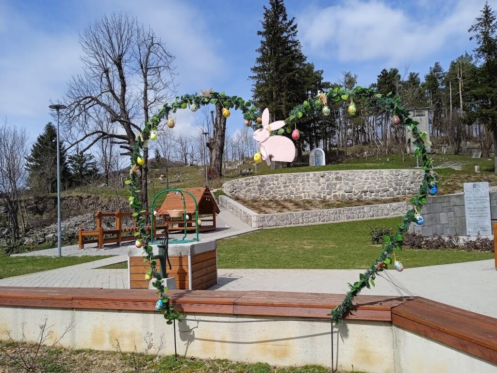 Image 7