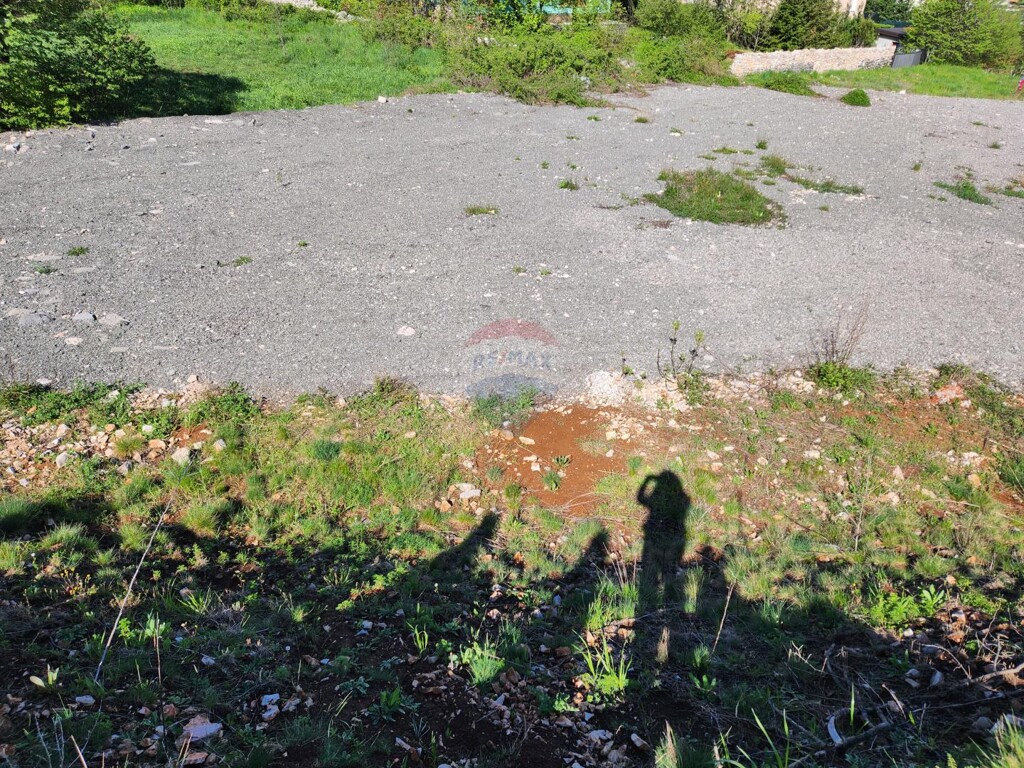 Image 5430010 - 11