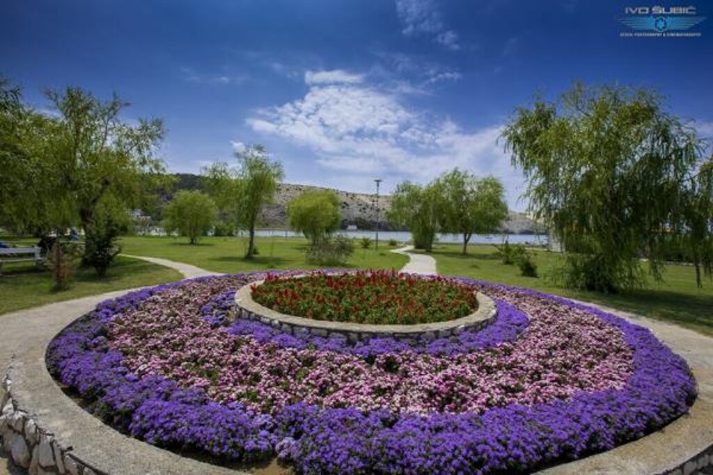Image 3838916 - 3