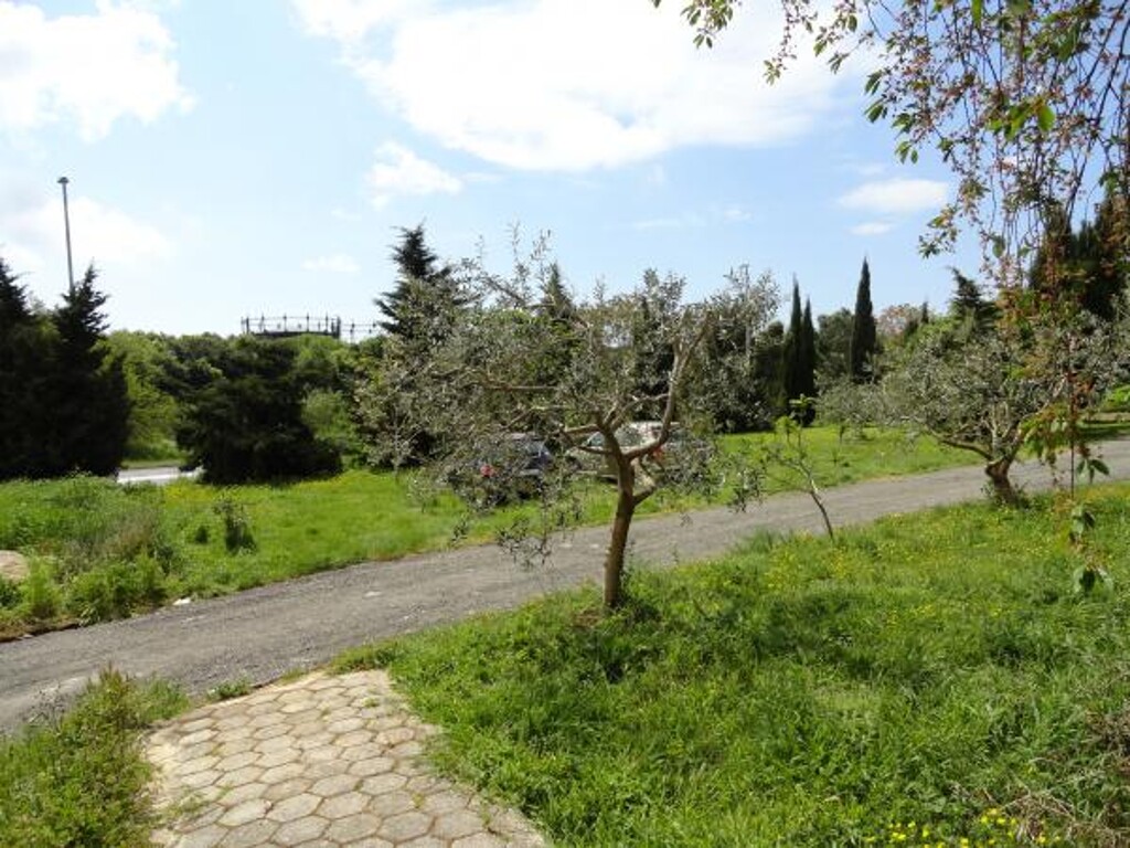 Image 3812423 - 9