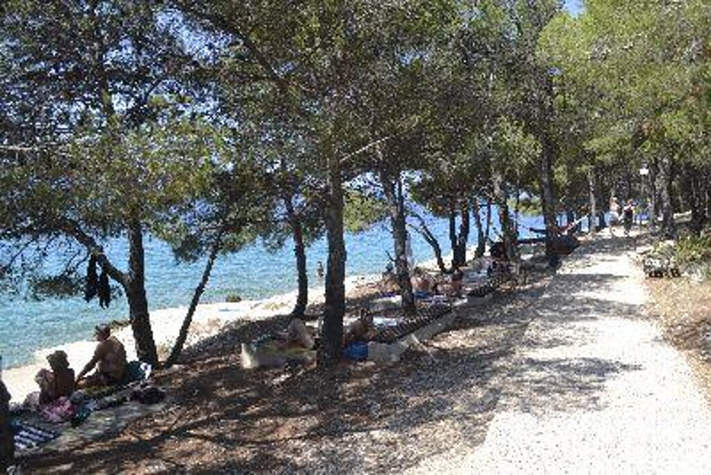 Image 3811588 - 6