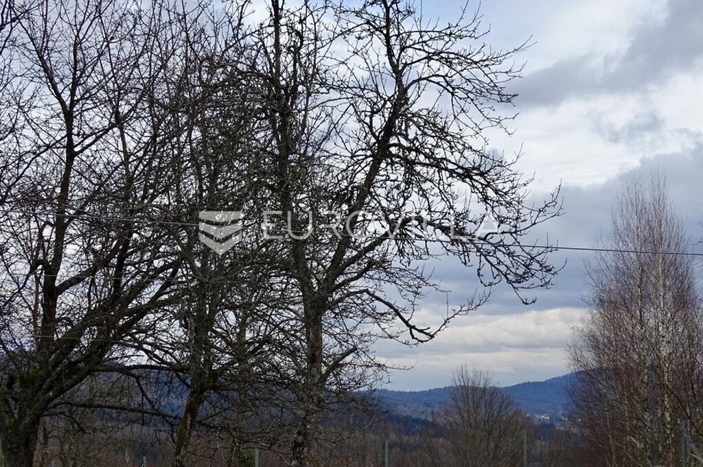 Image 39