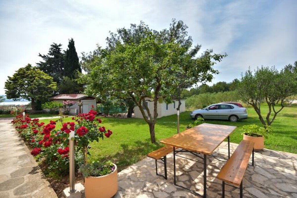 Image 3813181 - 15