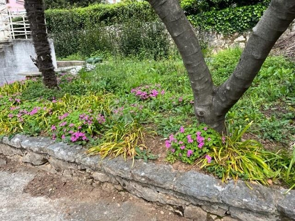 Image 16