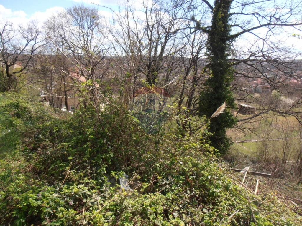 Image 5410890 - 4