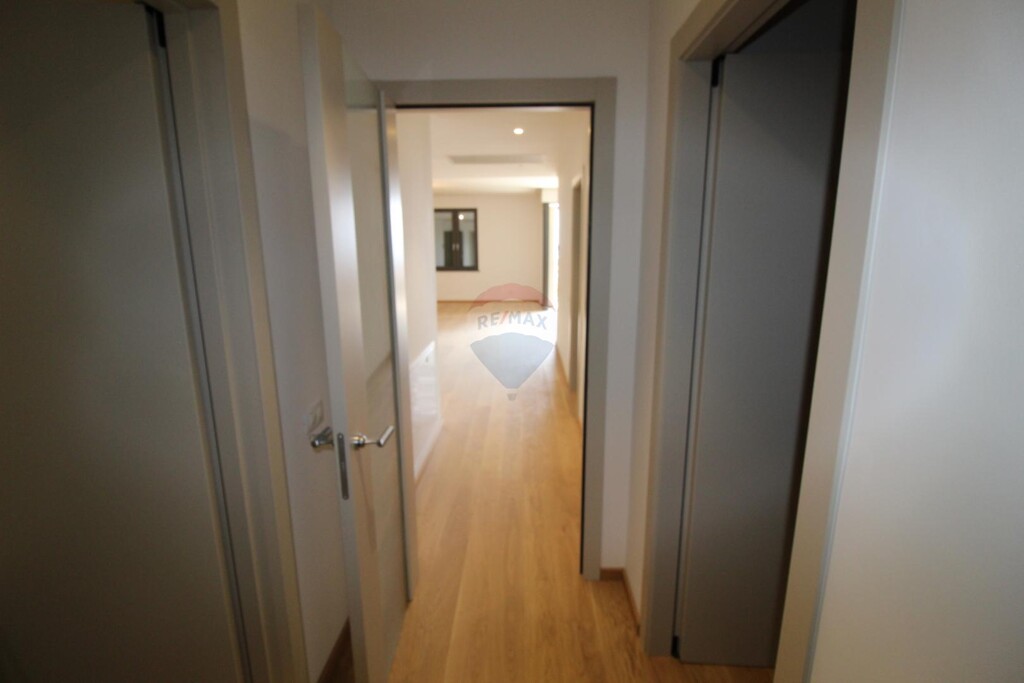Image 5425627 - 11