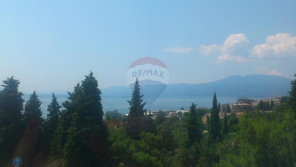 Image 5410998 - 1