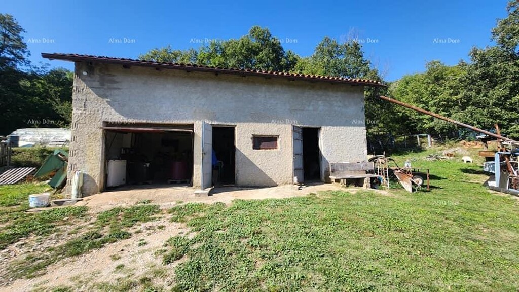 Image 12
